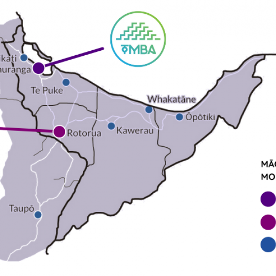 Regional Māori Business Networks